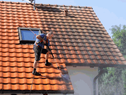 Maintain Regular Cleaning