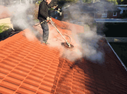 Steam Cleaning the roof