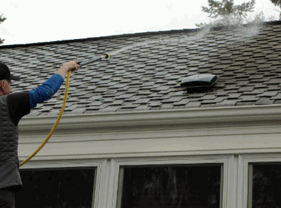 The Role Of Professional Cleaners